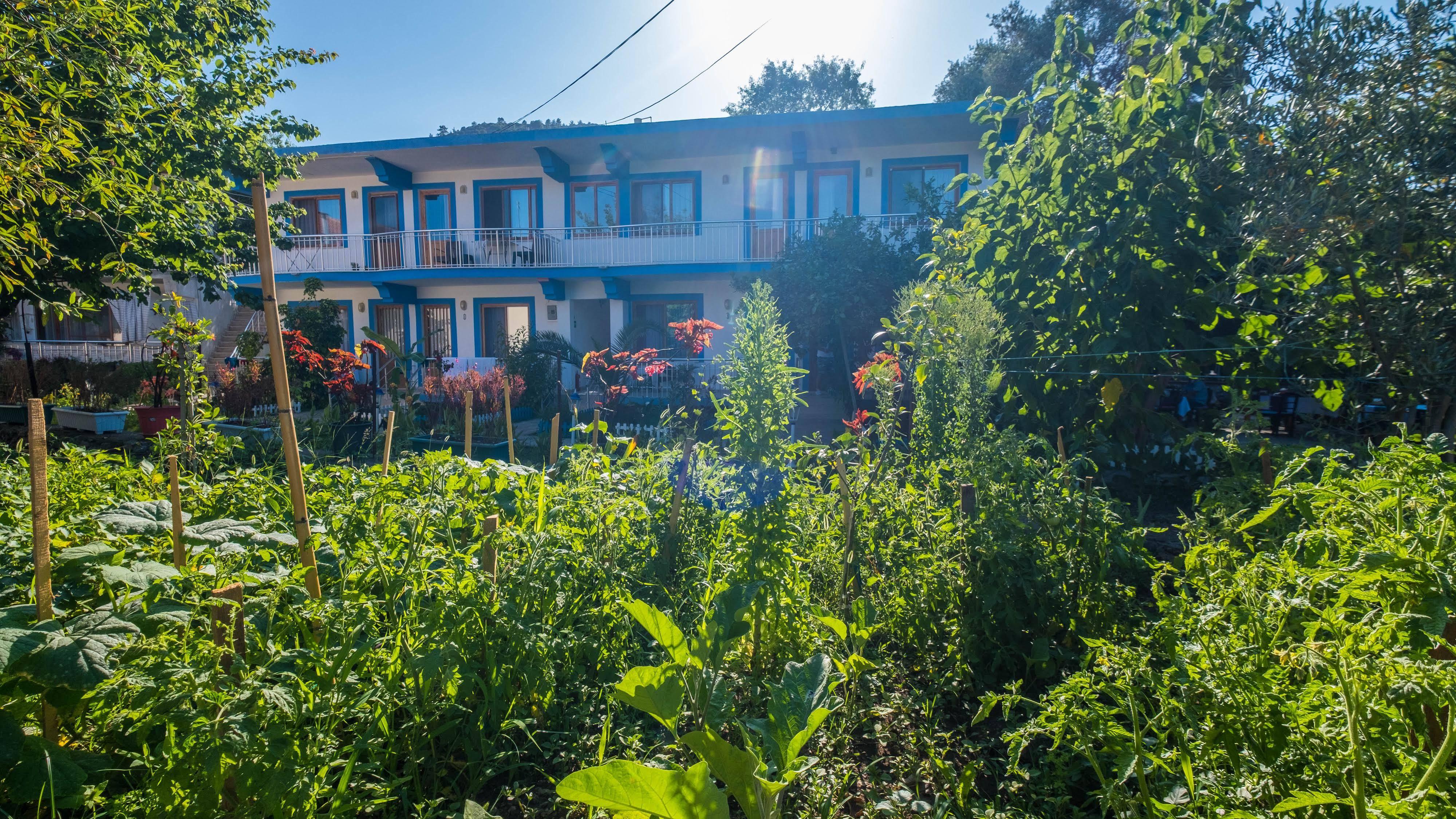Balalayka Butik Otel Muğla Esterno foto